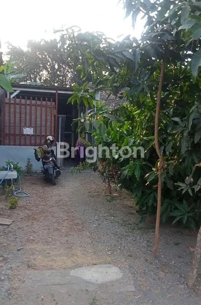 image RUMAH KOKOH DI KEDIRI KOTA (3)