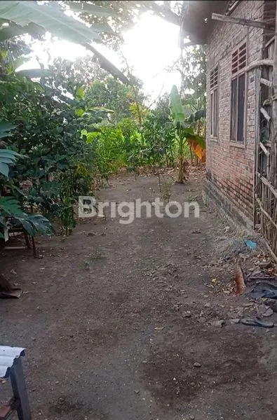 image RUMAH KOKOH DI KEDIRI KOTA (8)