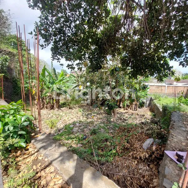 image TANAH AREA MUDING KEROBOKAN (1)