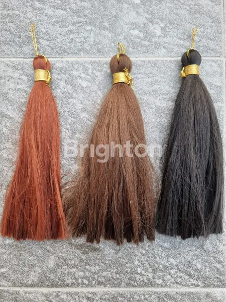 image BANGUNAN EX PABRIK RAMBUT,RAYA SEDATI- SIDOARJO (8)