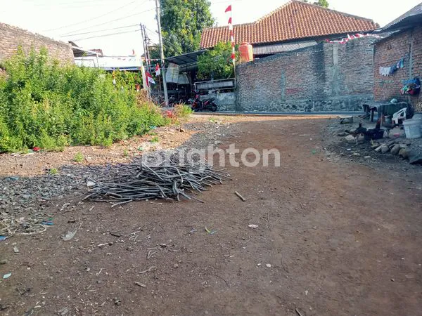 image TANAH DI JANGLI (1)