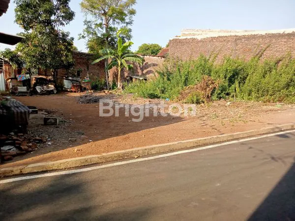 image TANAH DI JANGLI (2)