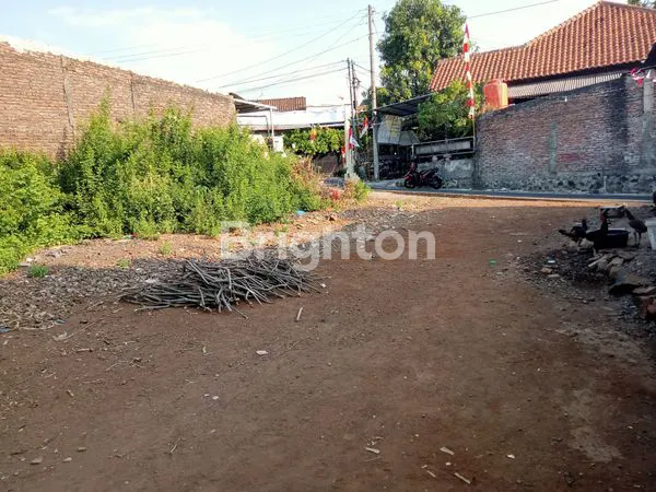 image TANAH DI JANGLI (3)