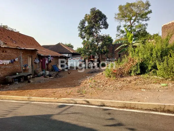 image TANAH DI JANGLI (4)