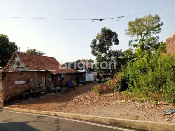 image TANAH DI JANGLI (5)