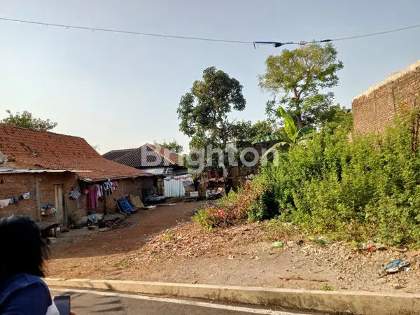 image TANAH DI JANGLI (6)