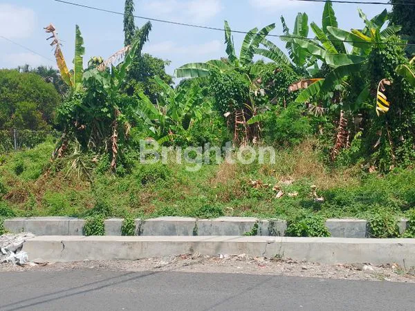 image TANAH  SEGERA DIJUAL , LOKASI STRATEGIS , DEKAT AKPER, HAK MILIK, KEDUNGMUNDU, SEMARANG (5)