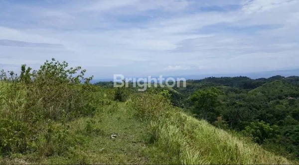 image TANAH KAVLING VIEW LAUT DAN VIEW UBUD (5)