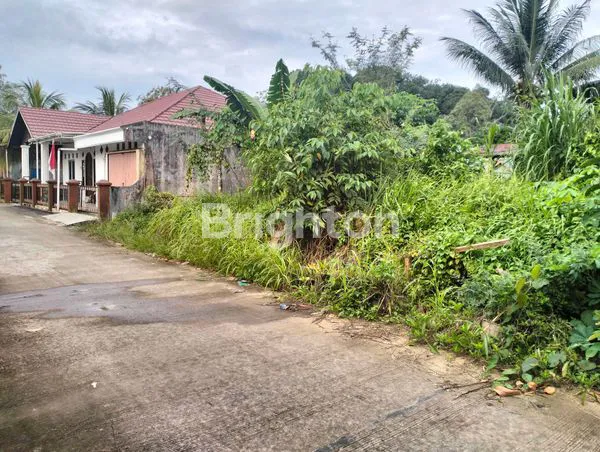 image TANAH KAVLING SIAP BANGUN UK 300 SAMBUTAN SAMARINDA  (1)