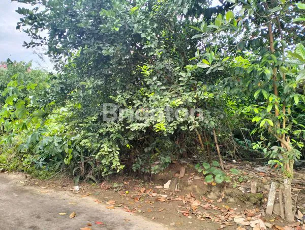 image TANAH KAVLING SIAP BANGUN UK 300 SAMBUTAN SAMARINDA  (3)
