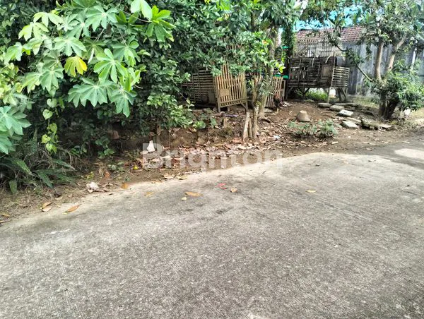 image TANAH KAVLING SIAP BANGUN UK 300 SAMBUTAN SAMARINDA  (4)