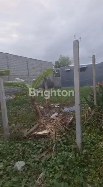 BU HARUS CEPAT LAKU TANAH 2.2 ARE PEDUNGAN DENPASAR SELATAN