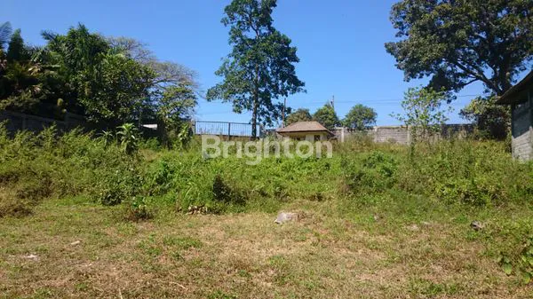 image TURUN HARGA. PAKIS MALANG RAYA TANAH STRATEGIS  COCOK BUAT PABRIK DAN DISTRIBUTOR (3)