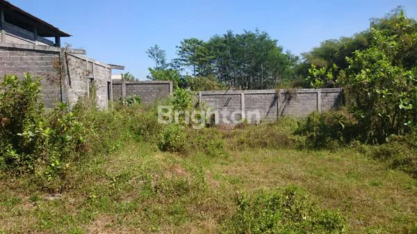 image TURUN HARGA. PAKIS MALANG RAYA TANAH STRATEGIS  COCOK BUAT PABRIK DAN DISTRIBUTOR (4)