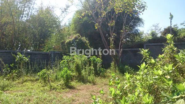 image TURUN HARGA. PAKIS MALANG RAYA TANAH STRATEGIS  COCOK BUAT PABRIK DAN DISTRIBUTOR (7)