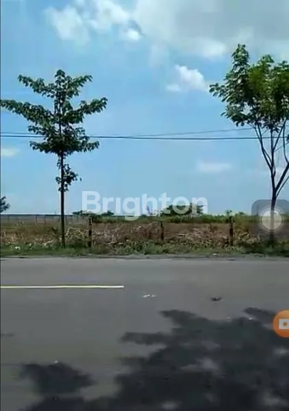 image JUAL LAHAN ZONA III INDUSTRI TUBAN (2)