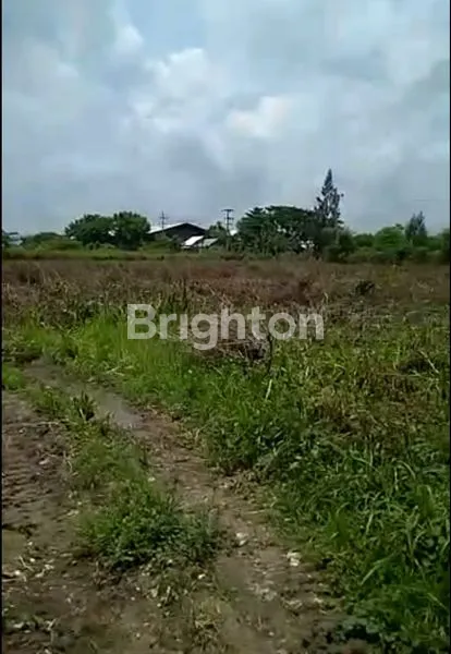 image JUAL LAHAN ZONA III INDUSTRI TUBAN (5)