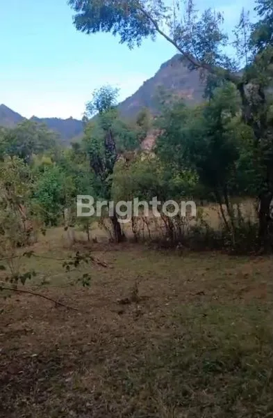 image TANAH STRATEGIS DI PEMUTERAN GEROKGAK BULELENG (1)