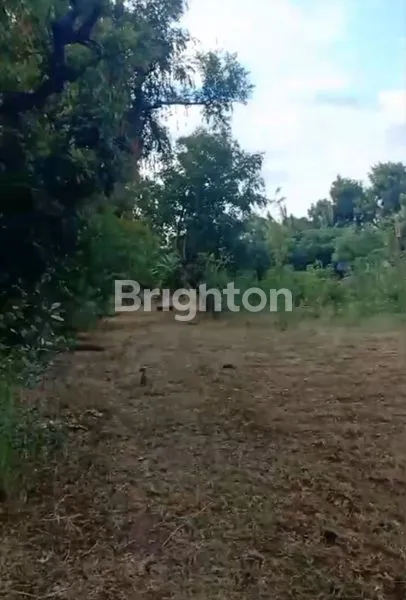 image TANAH STRATEGIS DI PEMUTERAN GEROKGAK BULELENG (2)