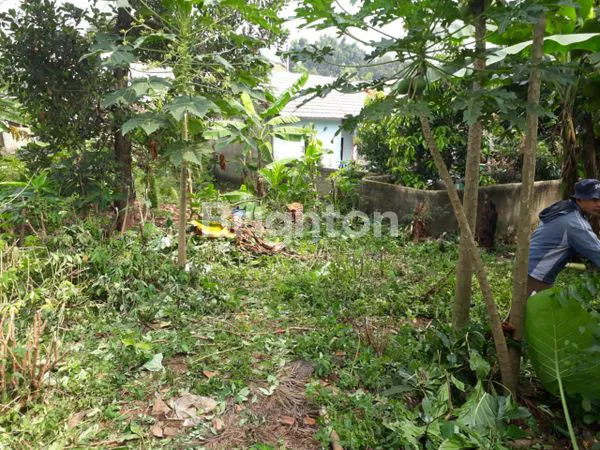 image LAHAN STRATEGIS DI PANCORAN MAS (2)