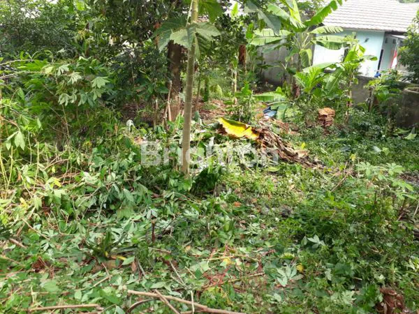 image LAHAN STRATEGIS DI PANCORAN MAS (1)