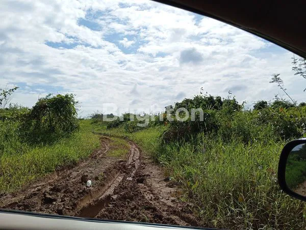 image TANAH LUAS 1 HA SIAP BANGUN (1)