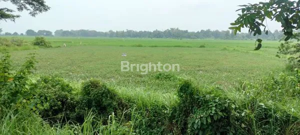 TANAH SIAP BANGUN DAERAH INDUSTRI DEKAT RAYA KAMAL