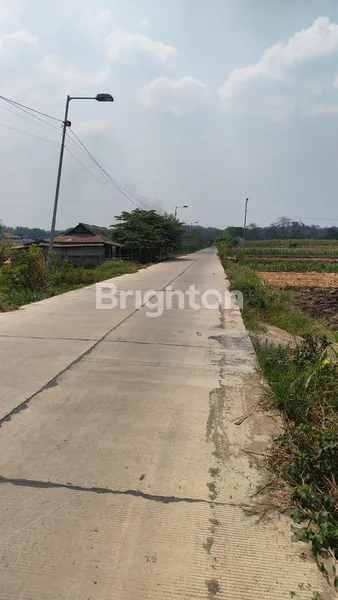 image PELUANG INVESTASI: BELI TANAH DI DS. SAWOH, KEC. JETIS - MOJOKERTO (4)