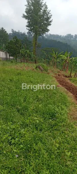 Gambar Property KAVLING HORTENSIA TRETES PASURUAN