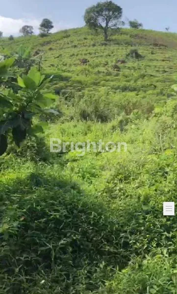 image KAVLING SENTUL CITEREUP BOGOR (1)