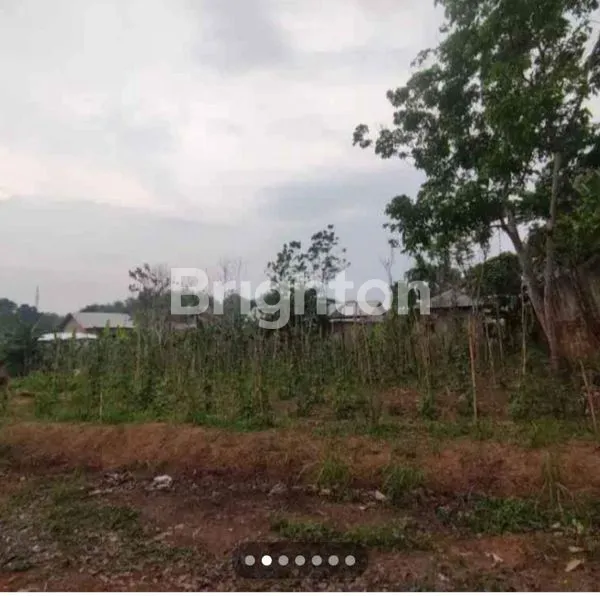 image TANAH TALANG BURUK (3)