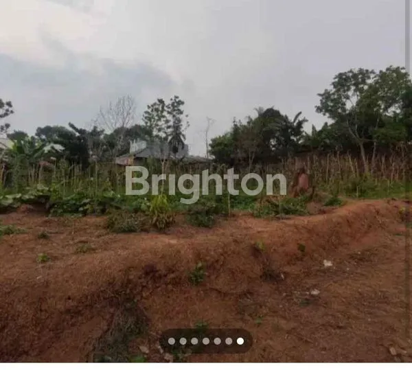 image TANAH TALANG BURUK (6)