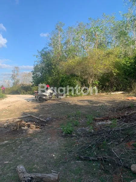 image TANAH LINGKUNGAN VILLA DI PECATU UNGASAN  (2)