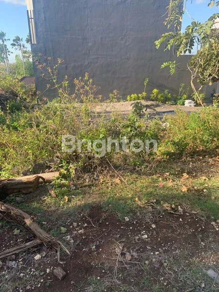 image TANAH LINGKUNGAN VILLA DI PECATU UNGASAN  (4)