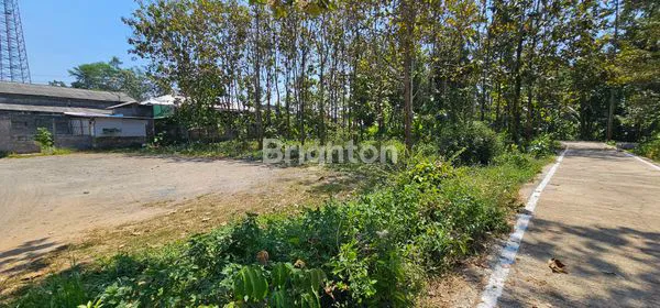 image TANAH STRATEGIS UNTUK INVESTASI, SIAP PAKAI DI TEPI JALAN TUNTANG (3)