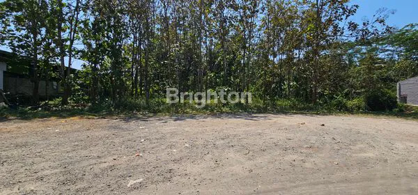 image TANAH STRATEGIS UNTUK INVESTASI, SIAP PAKAI DI TEPI JALAN TUNTANG (4)