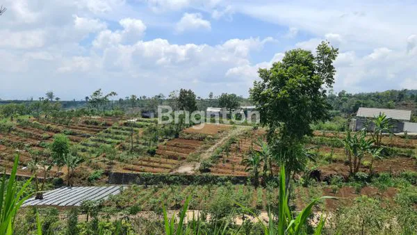 image TANAH DI BATU MALANG DEKAT KAMPUS UIN (1)
