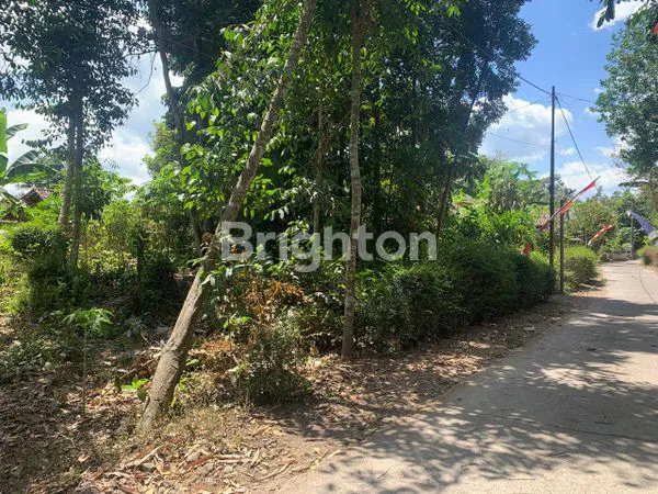 image TANAH DATAR SIAP BANGUN, LOKASI STRATEGIS DI PUNDONG II TIRTOADI. LUAS 1231 M², BISA DIBAGI SESUAI KEBUTUHAN. DEKAT DENGAN BERBAGAI FASILITAS. (4)