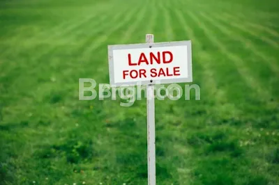 image TANAH PURI WIDYA KENCANA CITRALAND SURABAYA  (1)