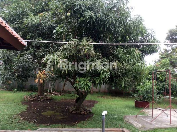 image DIJUAL RUMAH LUAS DAN ASRI (5)