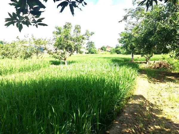 image TANAH KOMERSIL  DEKAT PINGGIR JALAN CIKAMPEK (4)