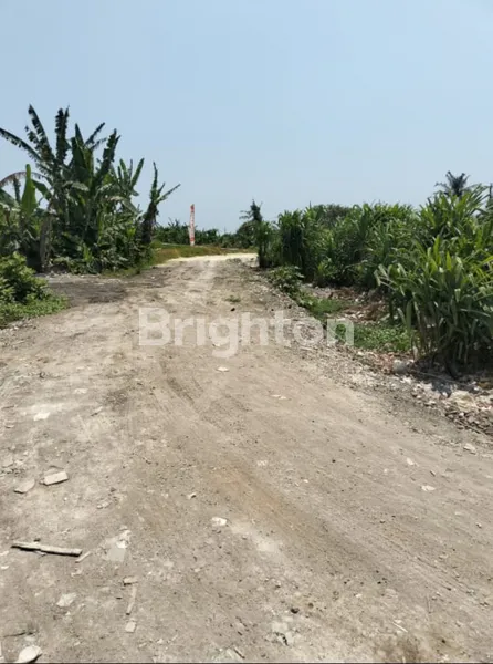 image TANAH 22,5 ARE TUMBAKBAYUH (1)