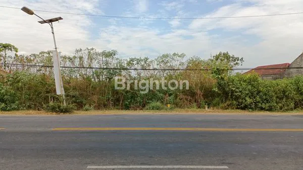 image DIJUAL TANAH SHM, COCOK BUAT PERGUDANGAN / PABRIK, LOKASI DEKAT GERBANG TOL MADIUN (2)