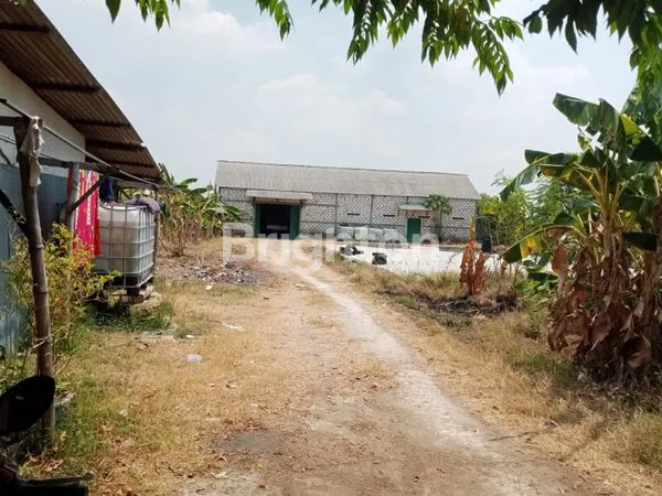 GUDANG PENGGILINGAN BERAS, TANAH LUAS LAMONGAN