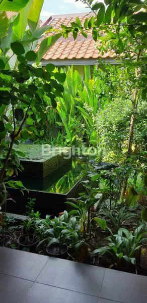 image RUMAH CIAMIK SIAP HUNI DI PENJARINGAN (5)