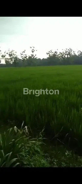 image TANAH 1 HA TASIKMADU DEKAT KAMPUS 2 ITN (3)