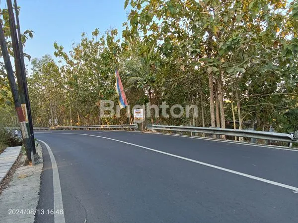 image TANAH INVESTASI STRATEGIS PINGGIR JALAN BARON GUNUNGKIDUL (3)