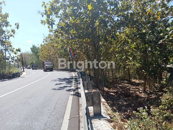 image TANAH INVESTASI STRATEGIS PINGGIR JALAN BARON GUNUNGKIDUL (4)