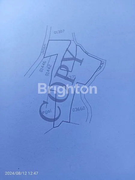 image TANAH INVESTASI STRATEGIS PINGGIR JALAN BARON GUNUNGKIDUL (5)