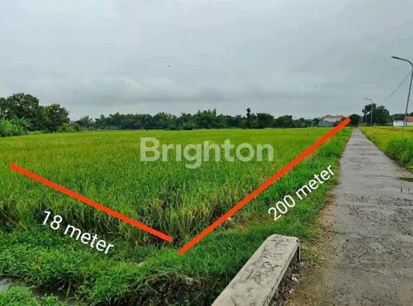 TANAH 0 JALAN KAMPUNG DI MOJOAGUNG JOMBANG